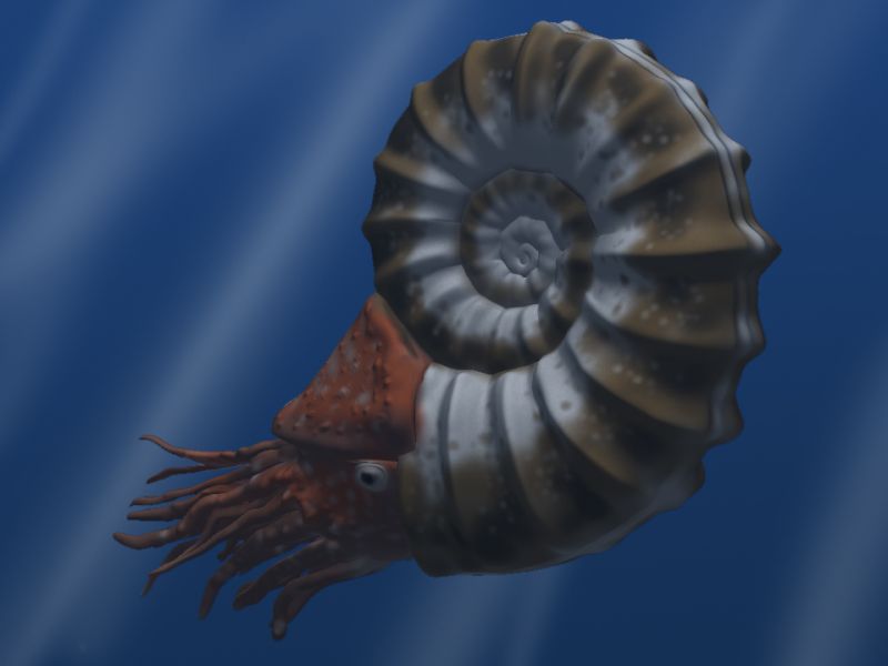 P. seppenradensis xuất hiện ở cả hai bên bờ Đại Tây Dương khoảng 80 triệu năm trước